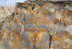 rusty slate flagstone